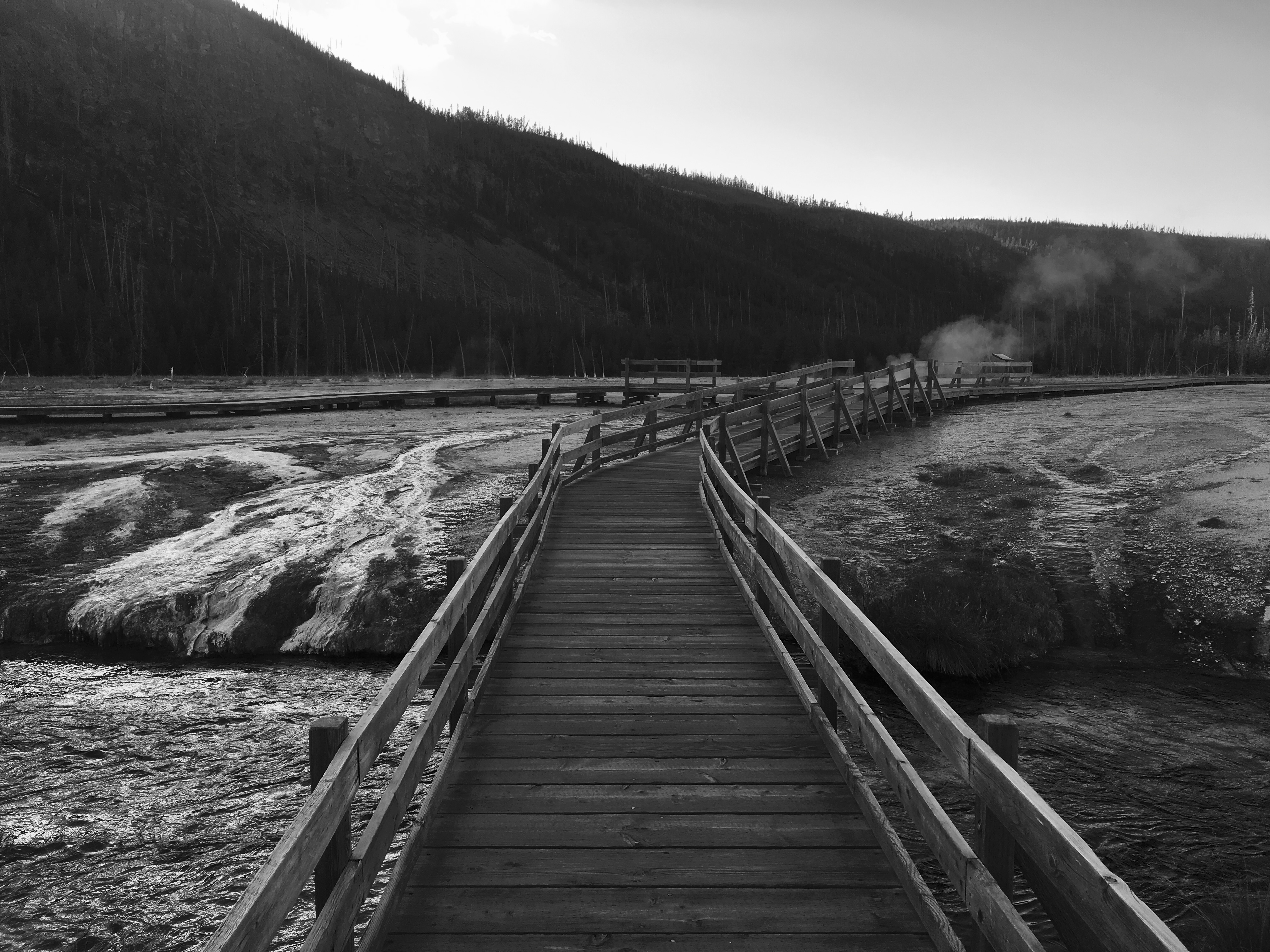 A wooden boardwalk winding across a steaming geothermal basin toward a forested hillside at dusk